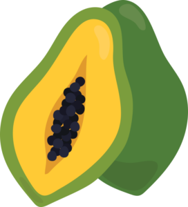 Illustration of a Papaya fruit